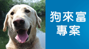 APA當月雜誌