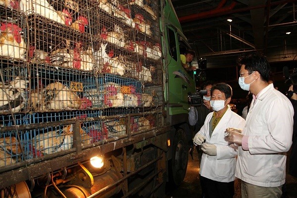 禽流感疫情拉警報，家禽交易市場是相關單位重點檢查的目標。   台北市動保處/提供