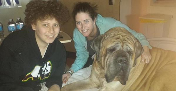 安東尼正在醫院接受化療，為了對抗病魔，163萬名網友響應活動、寄送自家狗狗照片給他。　取自鳳凰城推特