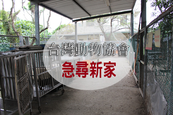 急救中心(保育場)位於北投的台灣動物協會，將在今年底被迫搬遷，需要大家幫忙提供適合的土地資訊！　何宜/攝
