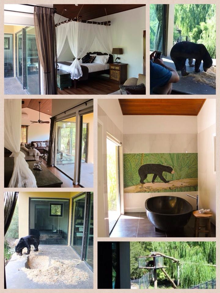 叢林套房中的裝潢、設施。　取自Jamala Wildlife Lodge臉書