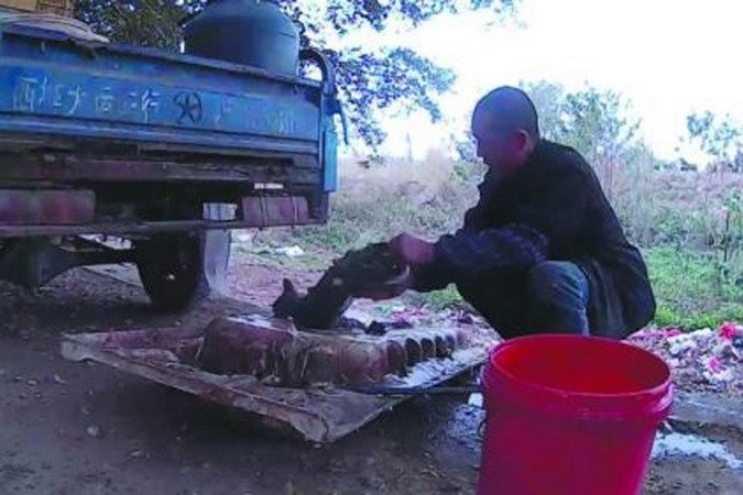 中國廣東佛山市出現販售貓肉、狗肉的黑市。　取自珠江時報