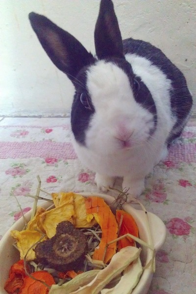 自己的水果乾自己烘，張小姐的兔子也很愛吃。　彼兔沛烘焙坊/提供