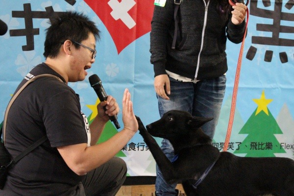 流浪動物花園協會成員曾把黑狗狗帶回家照顧，發現牠們都很宜室宜家喔！  江幸芸/攝