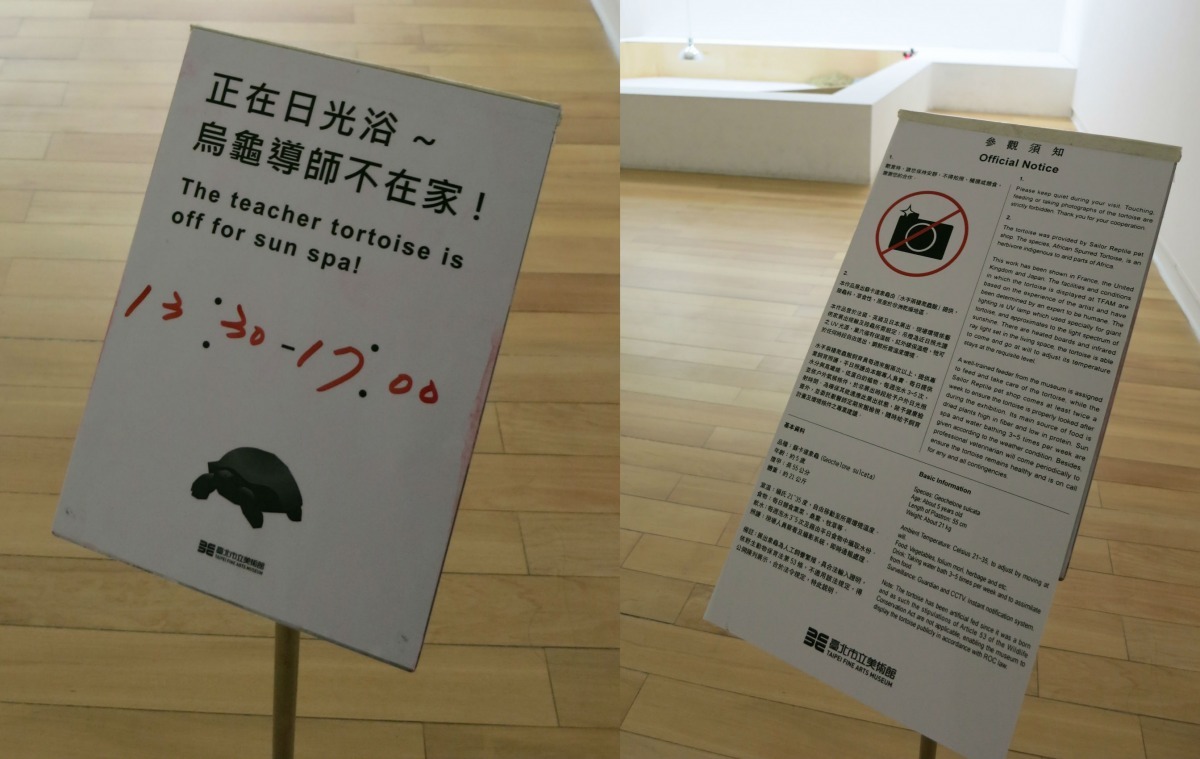 北美館表示象龜並不是整天待在展場中，並且已在動保團體要求下於展示板增加蘇卡達象龜資訊。　台北市立美術館/提供