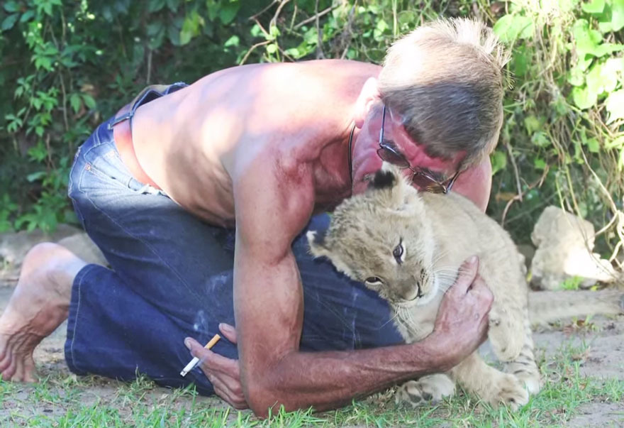 小獅子需要4個小時餵食一次。 取自boredpanda.com
