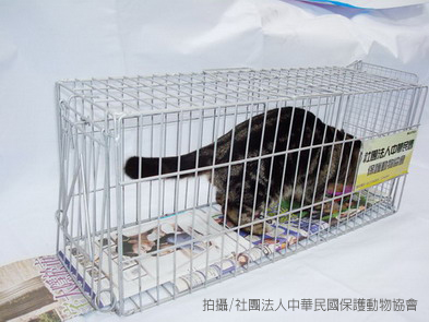 誘捕籠教學圖15