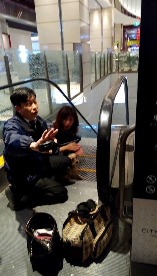 粗心飼主未將狗狗裝入外出籠，狗狗腳意外被捲入電扶梯。翻拍爆料公社