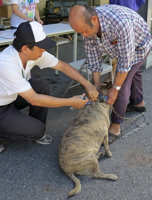 家犬貓未按時施打狂犬病疫苗的罰則，已提高至新台幣3萬元以上15萬元以下罰鍰。2家中有3個月以上犬貓，如尚未施打疫苗，或施打已超過1年時間，請趕快帶往施打。 蕭士塔/攝 