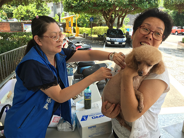 防檢局證實，不同藥廠的狂犬病疫苗，真的有1至3年的不同效期，只是在歐美可由飼主選用，在台灣還是希望家犬貓年年注射。新北市動保處/提供