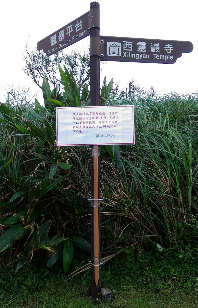 新北動保處於龍洞岩場設置告示牌，提醒民眾切勿驚擾保育類野生動物。新北動保處提供