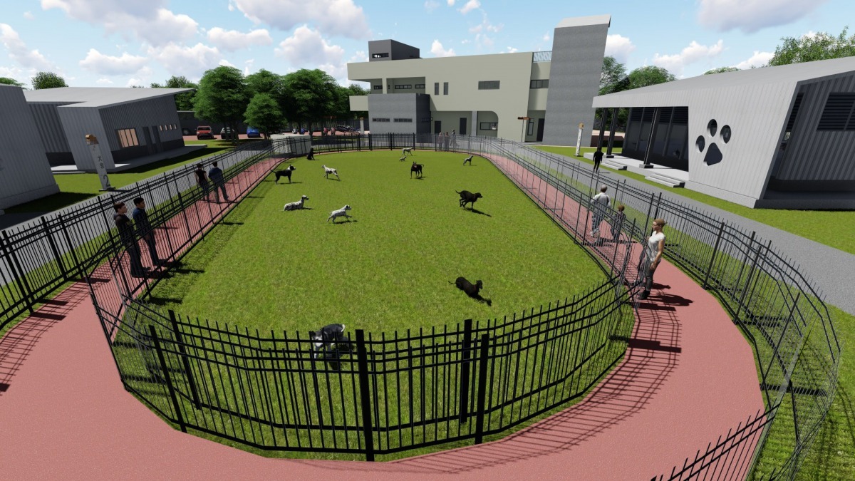 新園區規劃有大運動場，讓收容動物能有更多活動的空間，民眾也可在此與狗兒互動。彰化縣動物防疫所/提供