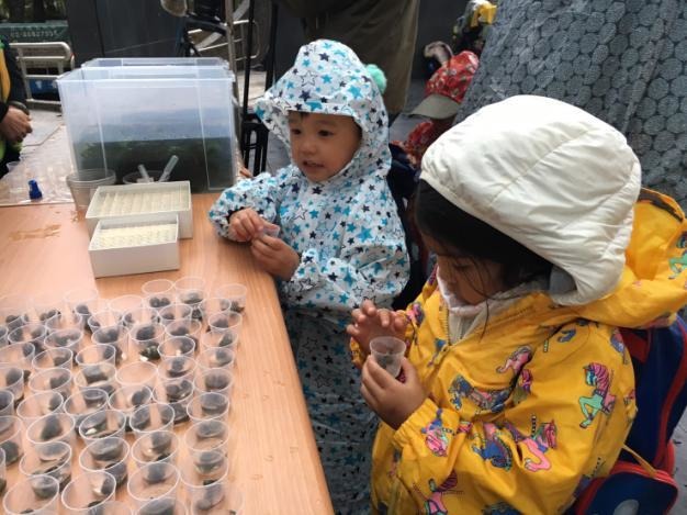 大安森林公園野放螢火蟲及田螺,找回消失25年的螢火蟲。 台北市立動物園/提供