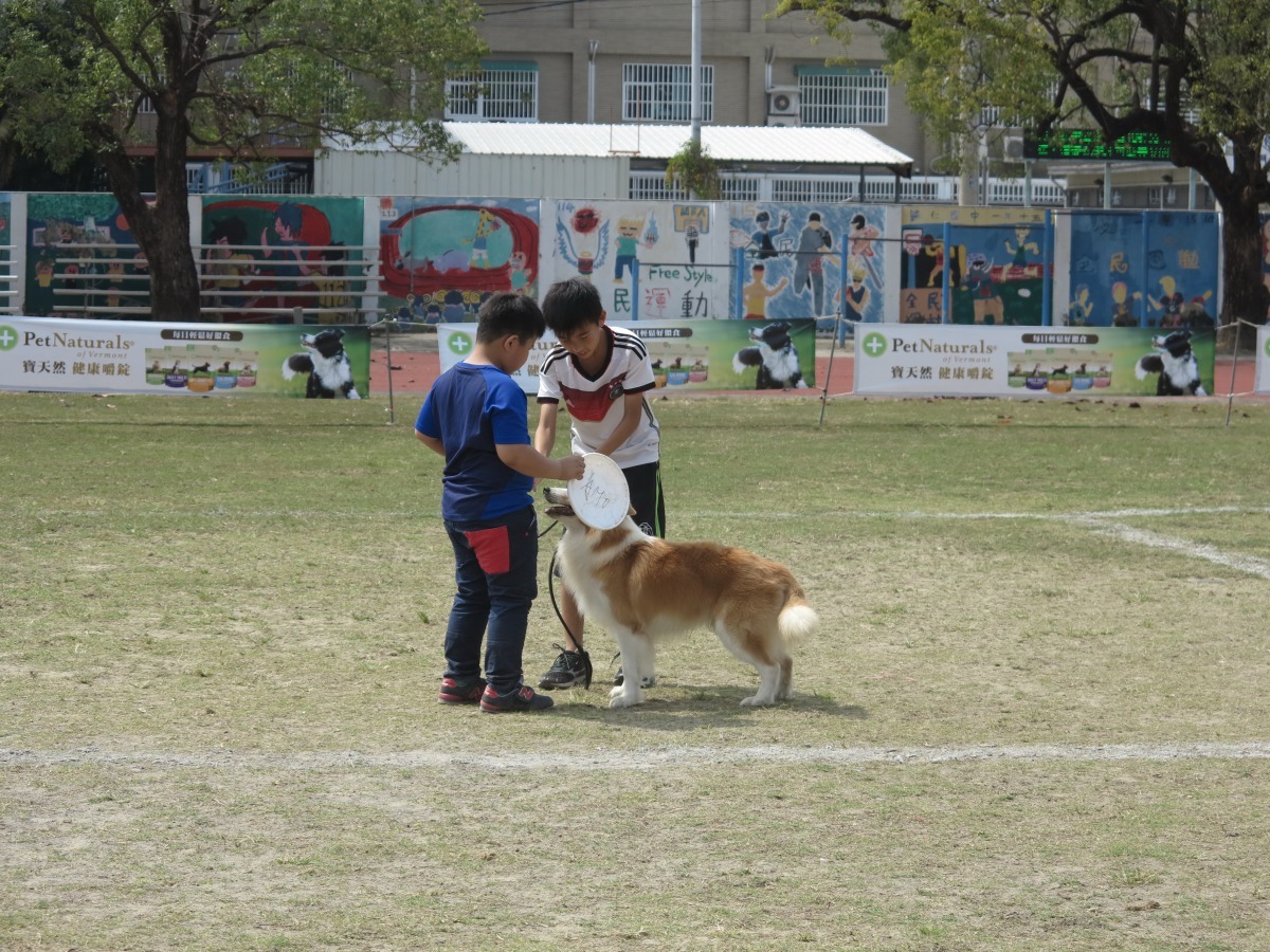 比賽完畢，馬上有朋友前往接應，在比賽時讓楊程皓學習和朋友相互幫忙。高維奇/攝