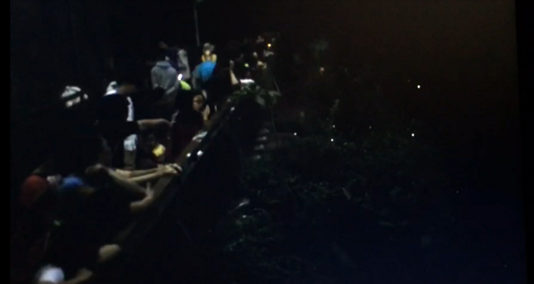 民眾對木柵公園夜間飛舞的黃綠螢感到好奇。 大麥影像傳播工作室/提供