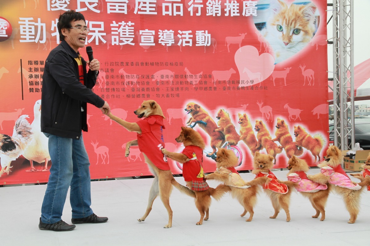 黃連發訓練的「有錢家族六小福」曾是動保活動人潮的保證，早年頻頻上電視節目表演，圖左二為「有錢」。 高維奇/攝