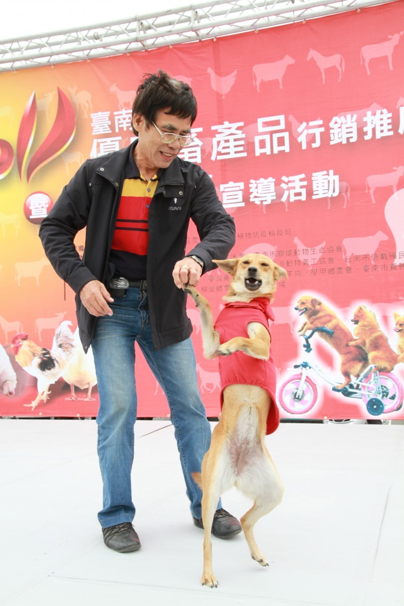 「有錢」去年過世，「有福」升格當班長。高維奇/攝