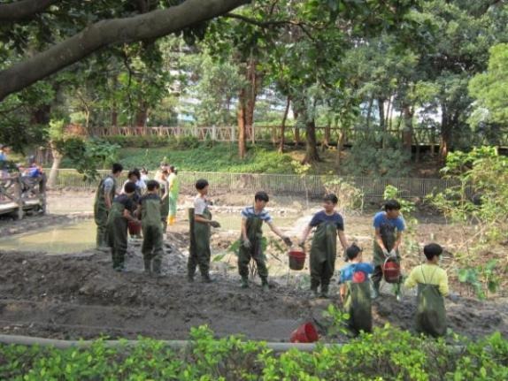 志工們穿上青蛙裝,辛勤復育榮星花園公園生態池。 台北市立動物園/提供