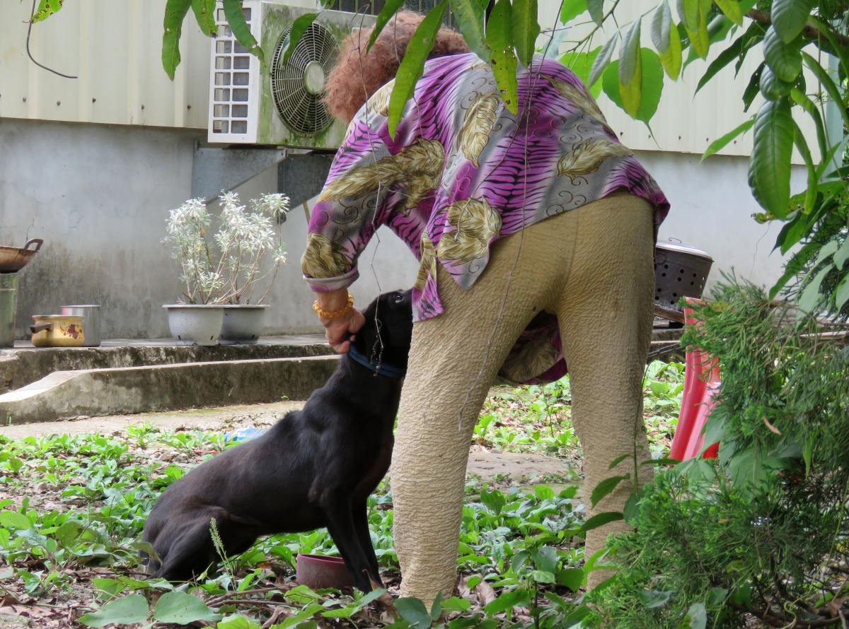 這位獨居的阿婆說，養貓養狗讓她生活比較踏實有安全感。 高維奇/攝