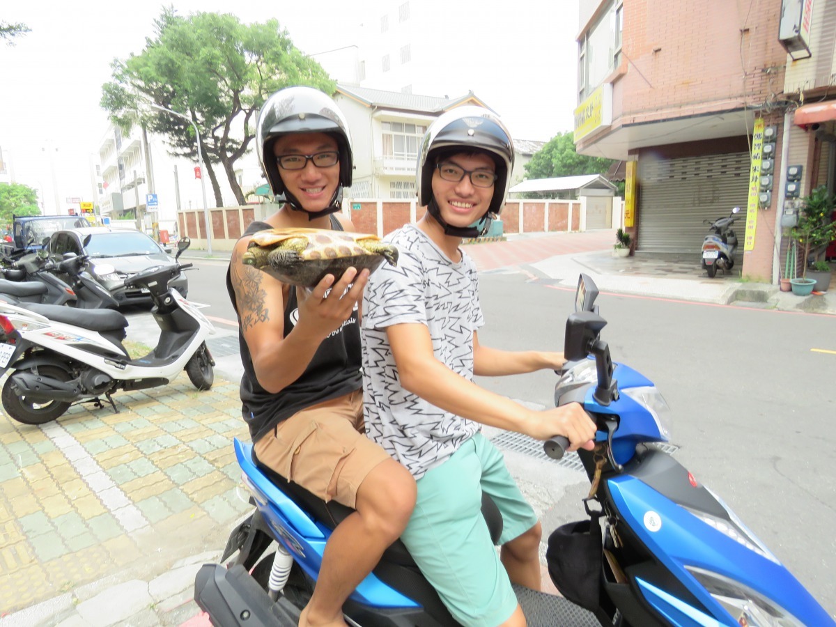 兩名大學生撿到烏龜送到流浪動物收容所。 高維奇/攝