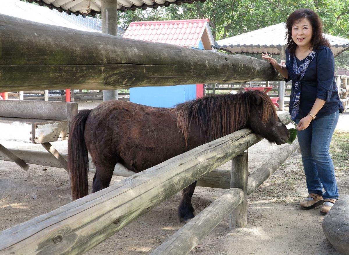 頑皮世界採半開放式觀賞，讓遊客與動物們間的距離更靠近。高維奇/攝