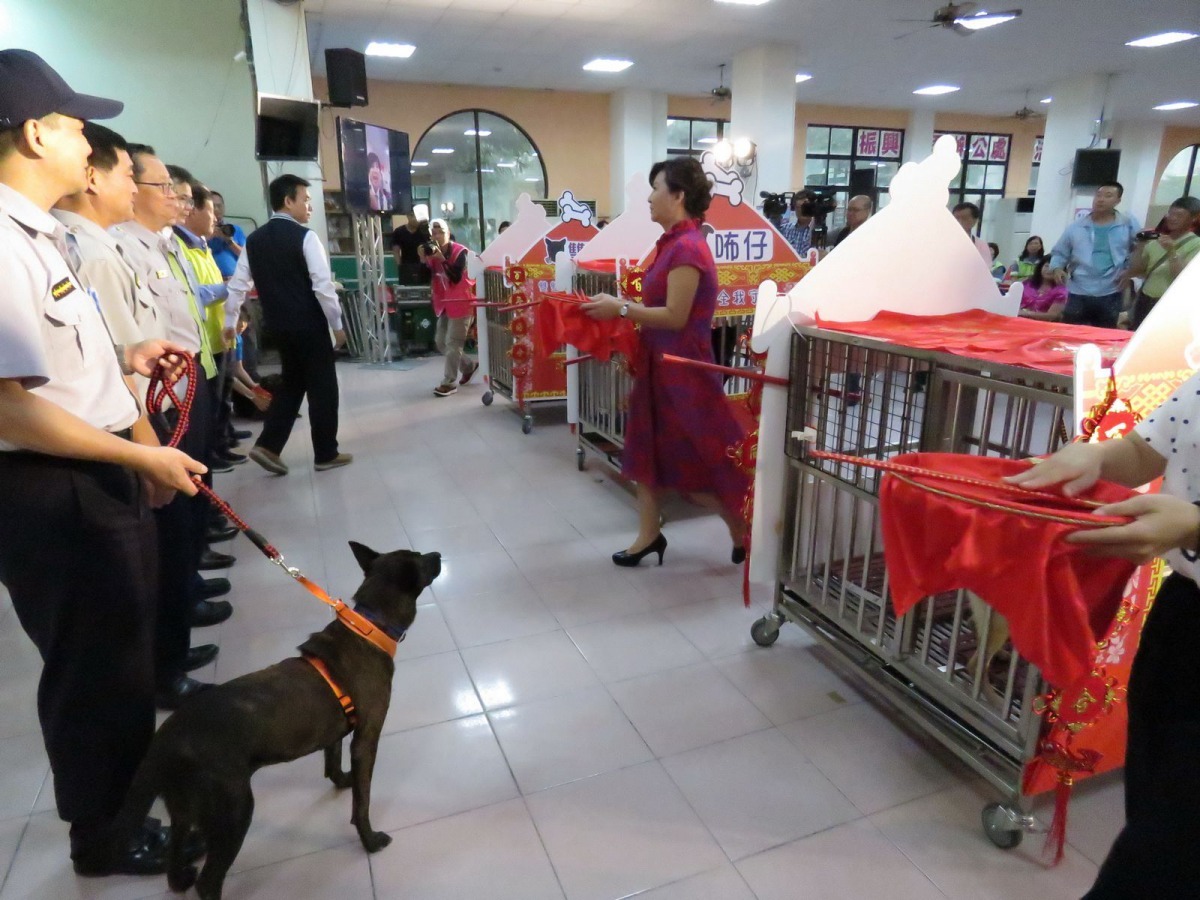 市府單位首長迎接3隻迎娶入門的狗狗。 高維奇/攝