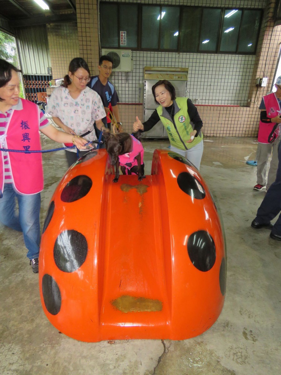 童里長規劃的親子寵物遊戲區。高維奇/攝