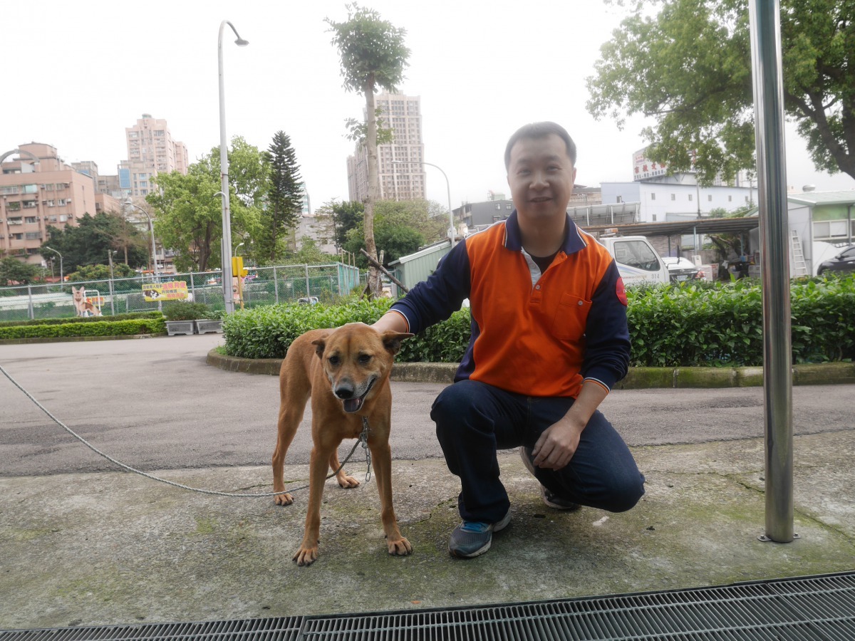 板橋清潔隊認養機關犬。 新北市政府動保處 提供