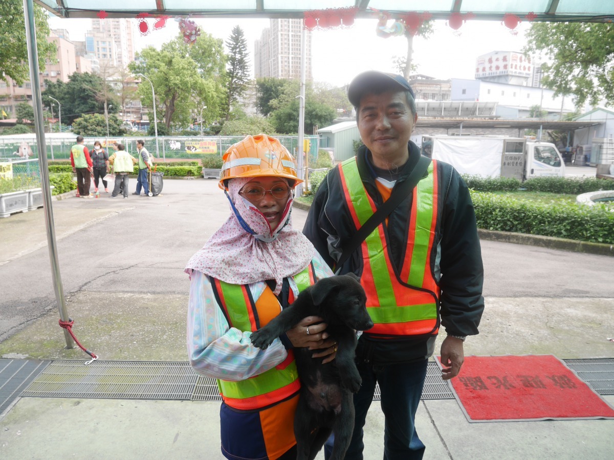 樹林清潔隊認養機關犬。 新北市政府動保處 提供