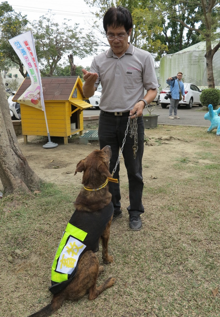 流浪犬施予基礎訓練後，依據毛小孩的特性規劃出適合他們的新頭路。高維奇/攝