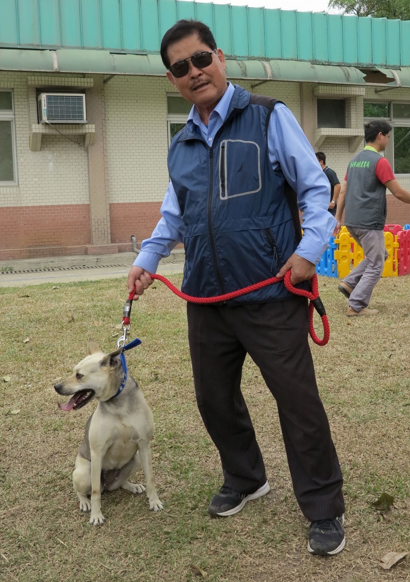 經營布業也是台南市闗懷動物生命協會理事長－蔡登雲認養的工作犬。高維奇/攝