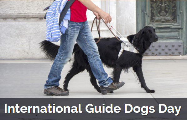 在「國際導盲犬日」這一天，各國的導盲犬機構會有不同形式的慶祝活動，一來向作為「盲人的眼睛」的導盲犬致意，再來是藉機推廣宣導。　取自daysoftheyear.com