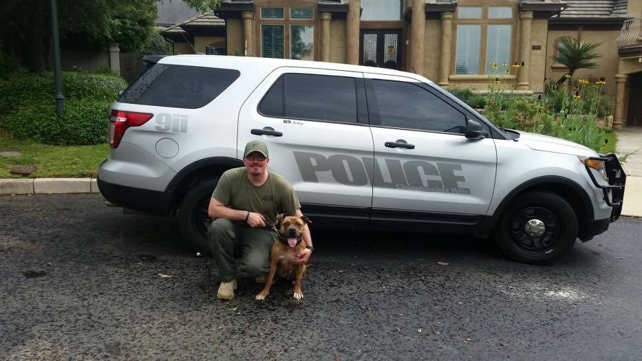 警犬Ruby。　取自Animal Farm Foundation