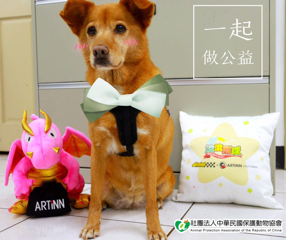 快來~一起跟著我加入公益行動! 中華民國保護動物協會／提供