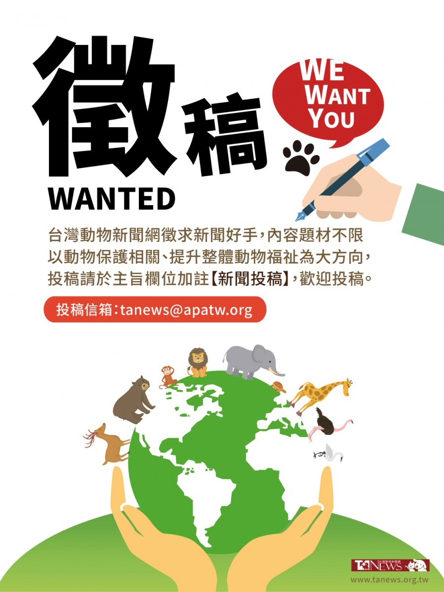 台灣動物新聞網，徵求動保新聞稿，歡迎大家投稿！