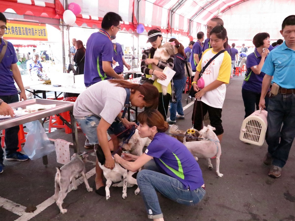 台南市動保處10月1日要在農會假日農市舉辦「毛小孩Happy go．你我同歡樂」宣導活動。蕭士塔/攝
