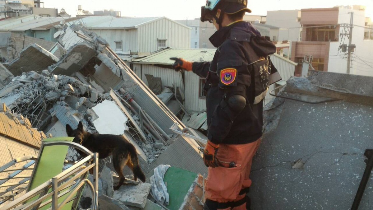 搜救犬的重點工作之一瓦礫堆搜尋。  周聰吉/提供