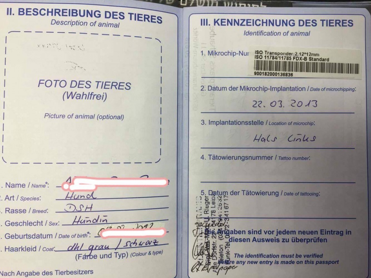 在歐盟，只要持有這本狗護照，狗隻就可以在各國之間趴趴走。周聰吉/提供