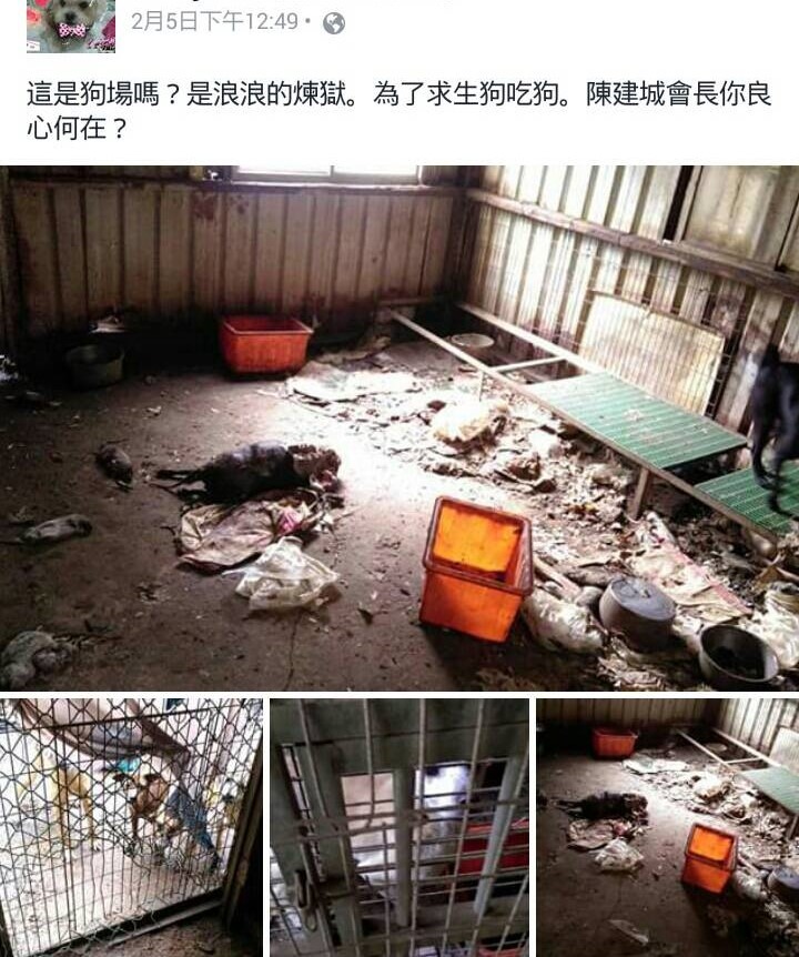 除夕夜流傳於動保志工之間的檢舉訊息，可看出場內犬隻的慘況。臉書截圖
