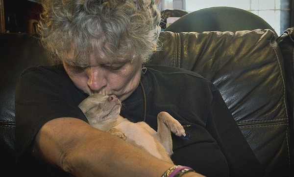 托尼了解琳恩並不是養狗成癮的收集癖,而是如媽媽對寶寶般的愛狗之心。 取自網路