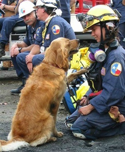 911現場的Bretagne和丹妮絲，他們有著絕佳的救災默契。 取自網路