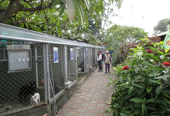 灣裡動物之家雖然積極綠美化，仍難掩臭味，讓志工們陸續離開。 蕭士塔/攝