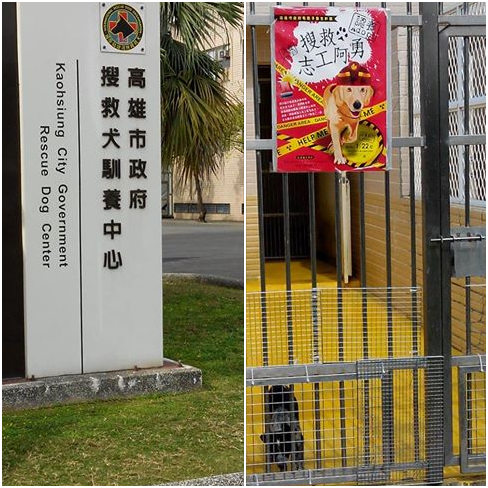 高雄動保處收容近300多隻流浪犬，期盼未來一年至少有200隻毛孩可獲得訓練，並能有2隻以上浪犬成為搜救犬。 瑭芯/攝