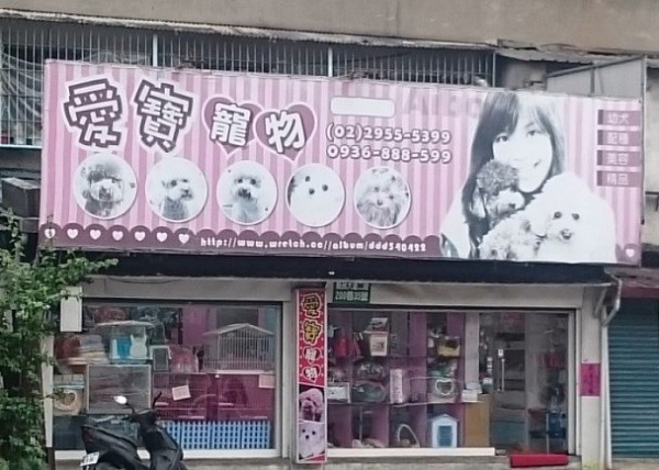 位於新北板橋縣民大道旁的「愛寶寵物」，今日凌晨起火致使29隻貴賓犬死亡。 取自網路