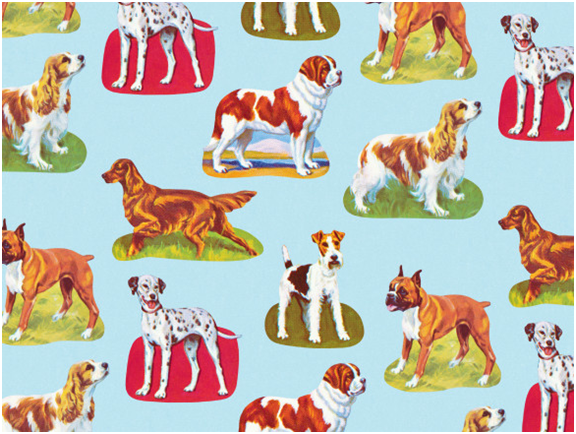 「只愛動物，不愛人」是句玩笑話，但在現實生活中，很多人對動物議題的關注勝於人的大小事，你知道為什麼嗎?    取自蓋蒂影像（Getty Images）