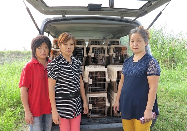 大仁科技大學寵物美容學位學程助理教授鄭素惠(右)隨車載狗回學校。蕭士塔/攝