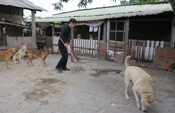 黃連發兩年多來每天到狗場清掃餵食,全年無休,已感力不從心。蕭士塔/攝