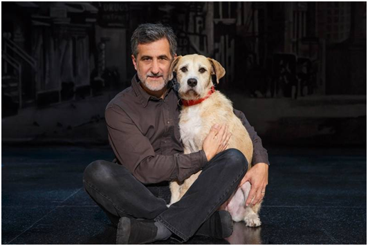 4歲的混種小獵犬森妮 於2012年登台飾演珊蒂。 取自網路