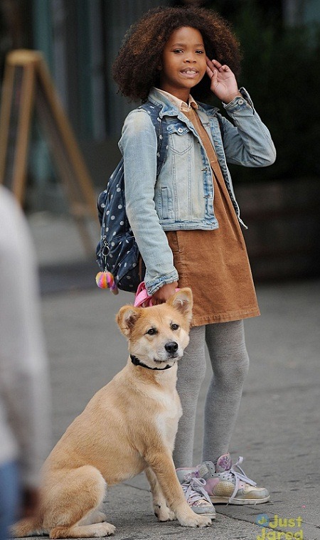 電影版《安妮》一劇中的「珊蒂」狗,也是由比爾.伯勒尼救援和訓練的。取自JR網站