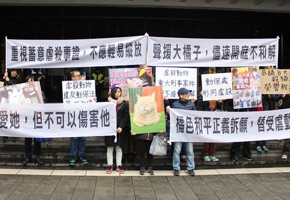 大橘子案促成大眾重新審視虐殺動物的刑責問題，也激發「你可以不愛牠，但不可以傷害牠」的聲浪。 李娉婷/攝